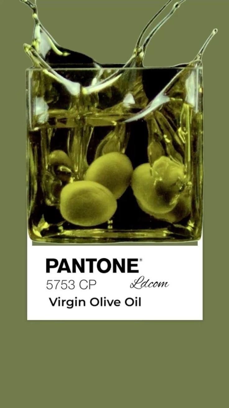 Olive grove